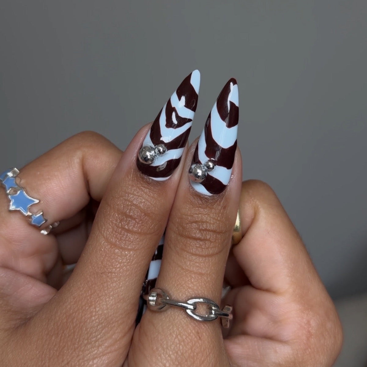 baby blue zebra