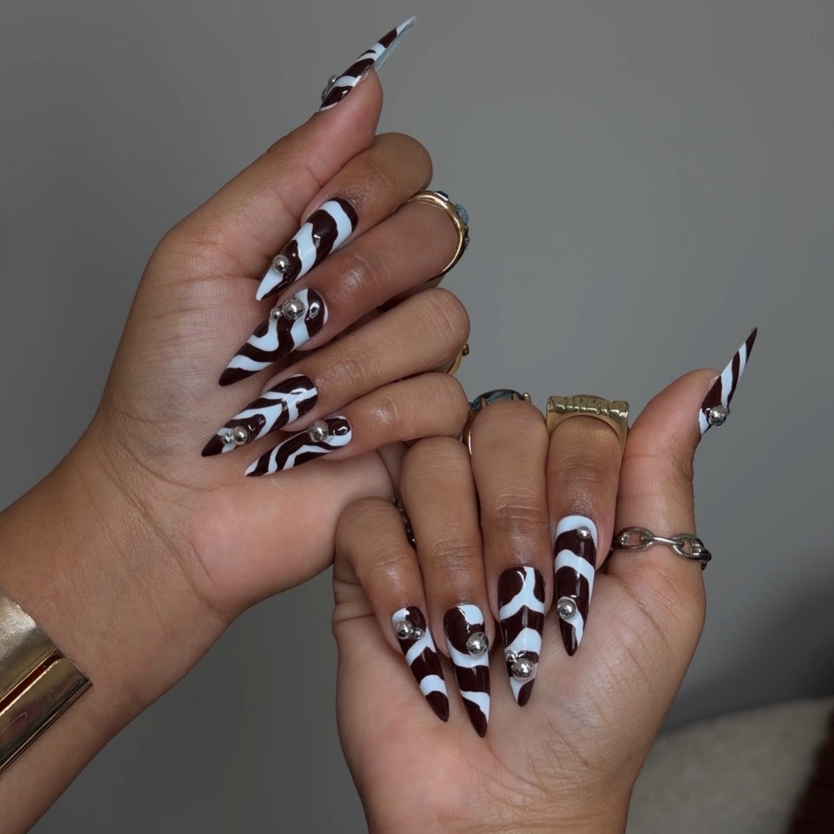 baby blue zebra