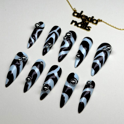 baby blue zebra